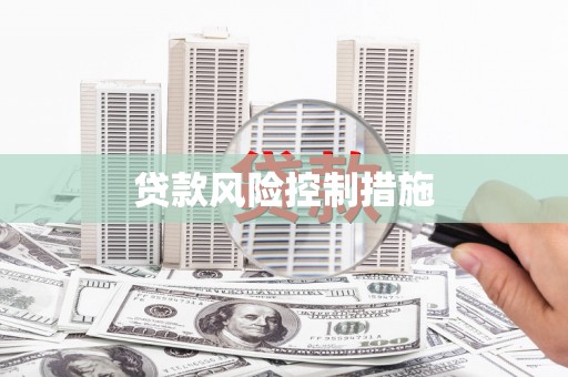 永登贷款风险控制措施