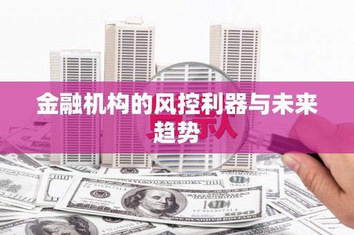 永登金融机构的风控利器与未来趋势