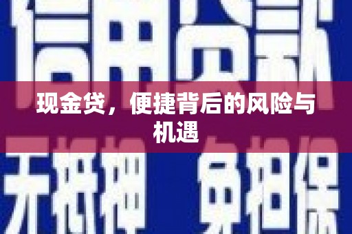 永登现金贷，便捷背后的风险与机遇