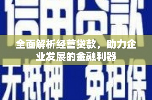 永登全面解析经营贷款，助力企业发展的金融利器