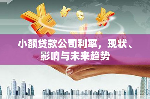 永登小额贷款公司利率，现状、影响与未来趋势