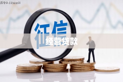 永登经营贷款