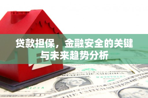 永登贷款担保，金融安全的关键与未来趋势分析