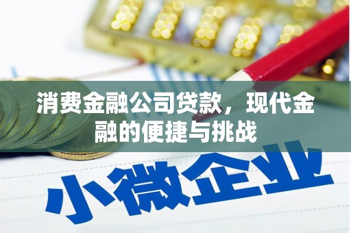 永登消费金融公司贷款，现代金融的便捷与挑战