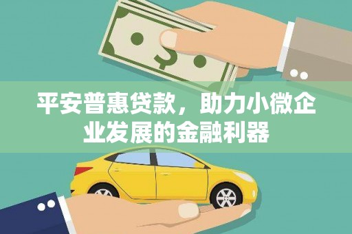 永登平安普惠贷款，助力小微企业发展的金融利器