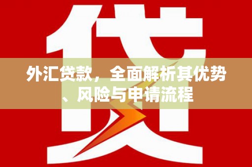 永登外汇贷款，全面解析其优势、风险与申请流程