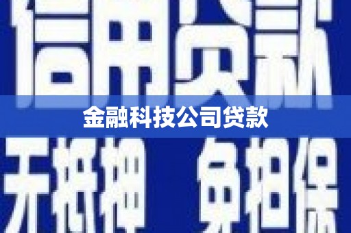 永登金融科技公司贷款