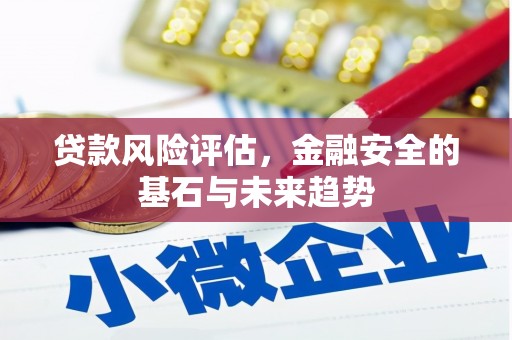 永登贷款风险评估，金融安全的基石与未来趋势
