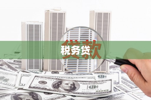 永登税务贷