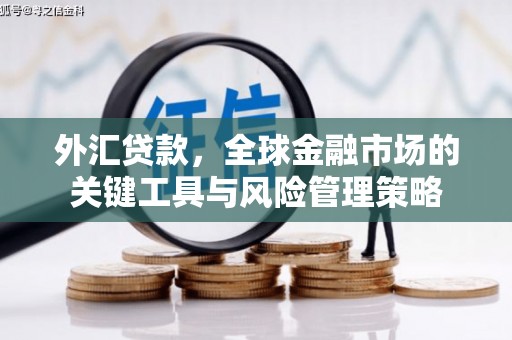 永登外汇贷款，全球金融市场的关键工具与风险管理策略