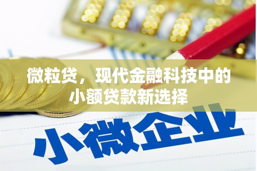 永登微粒贷，现代金融科技中的小额贷款新选择