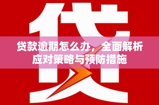 永登贷款逾期怎么办，全面解析应对策略与预防措施