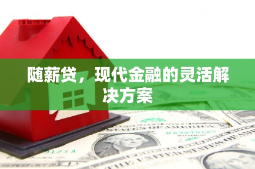 永登随薪贷，现代金融的灵活解决方案