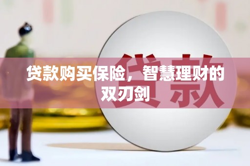 永登贷款购买保险，智慧理财的双刃剑