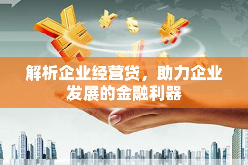 永登解析企业经营贷，助力企业发展的金融利器