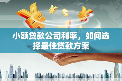 永登小额贷款公司利率，如何选择最佳贷款方案