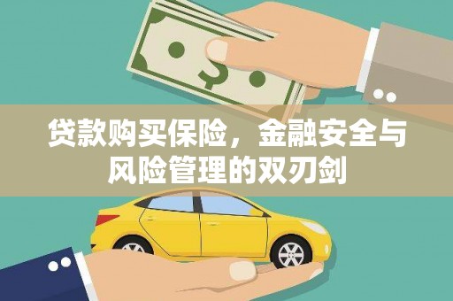 永登贷款购买保险，金融安全与风险管理的双刃剑
