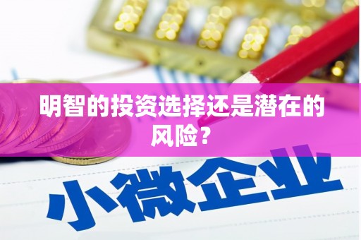 永登明智的投资选择还是潜在的风险？