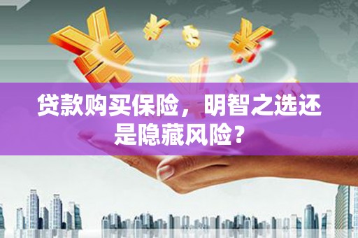 永登贷款购买保险，明智之选还是隐藏风险？