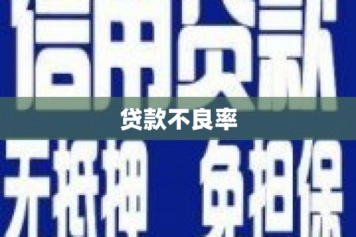 永登贷款不良率