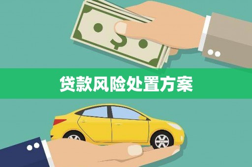 永登贷款风险处置方案