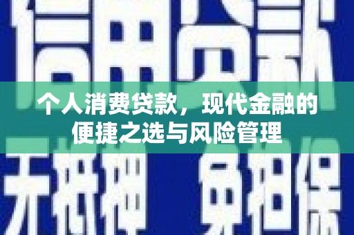 永登个人消费贷款，现代金融的便捷之选与风险管理