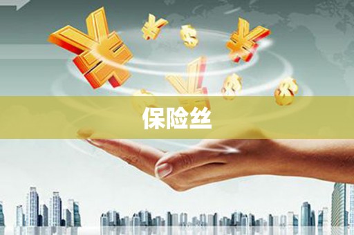 永登保险丝
