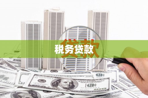 永登税务贷款