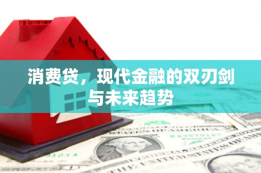 永登消费贷，现代金融的双刃剑与未来趋势