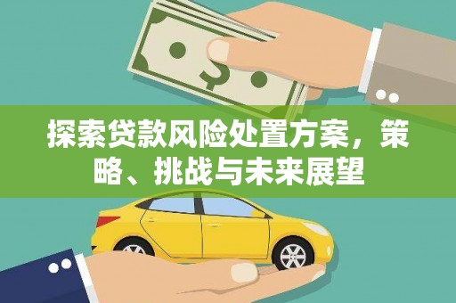 永登探索贷款风险处置方案，策略、挑战与未来展望