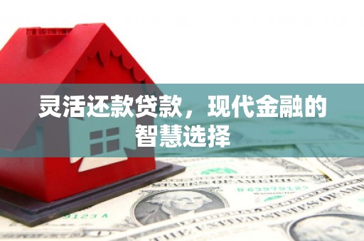永登灵活还款贷款，现代金融的智慧选择