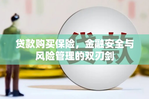 永登贷款购买保险，金融安全与风险管理的双刃剑