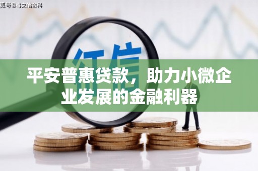 永登平安普惠贷款，助力小微企业发展的金融利器
