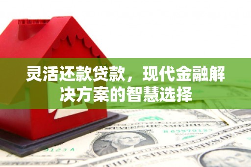永登灵活还款贷款，现代金融解决方案的智慧选择