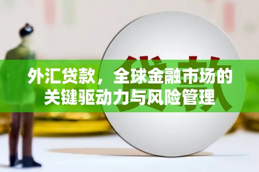 永登外汇贷款，全球金融市场的关键驱动力与风险管理