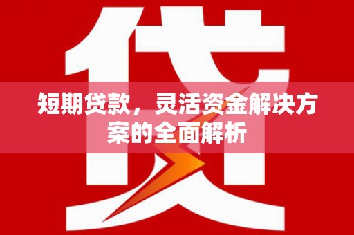 永登短期贷款，灵活资金解决方案的全面解析