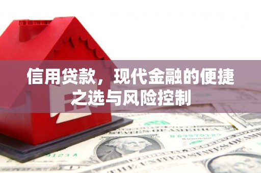 永登信用贷款，现代金融的便捷之选与风险控制