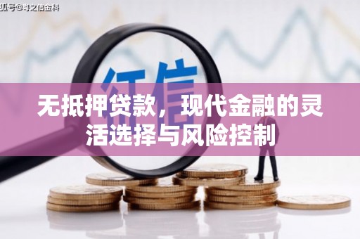 永登无抵押贷款，现代金融的灵活选择与风险控制