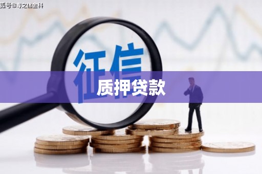 永登质押贷款