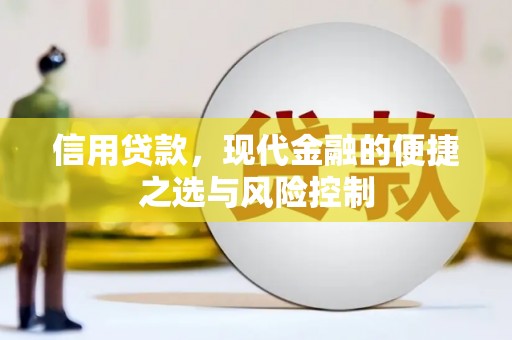 永登信用贷款，现代金融的便捷之选与风险控制