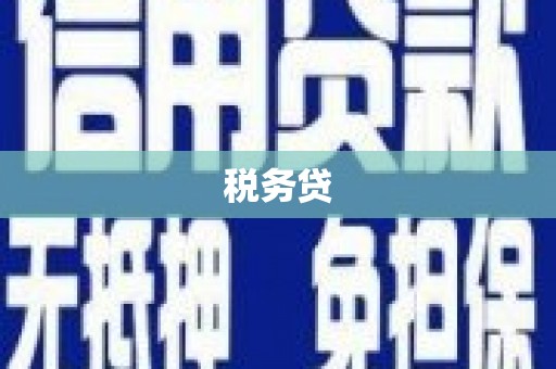永登税务贷
