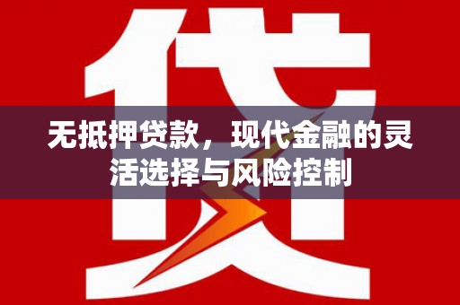 永登无抵押贷款，现代金融的灵活选择与风险控制