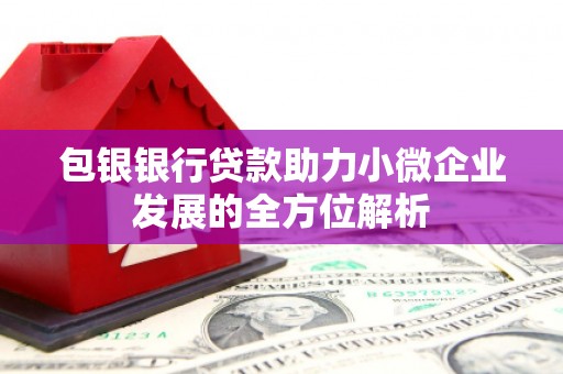永登包银银行贷款助力小微企业发展的全方位解析
