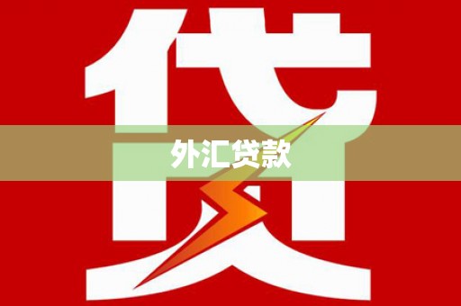 永登外汇贷款