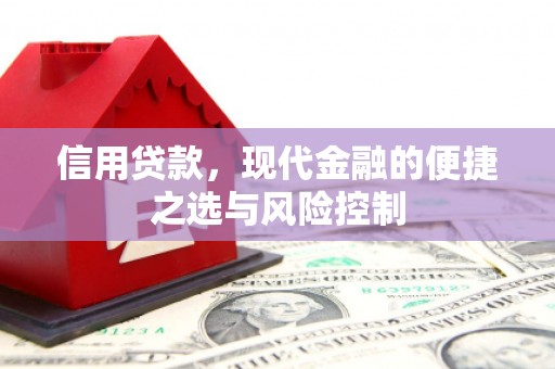 永登信用贷款，现代金融的便捷之选与风险控制