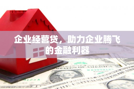 永登企业经营贷，助力企业腾飞的金融利器
