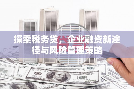 永登探索税务贷，企业融资新途径与风险管理策略