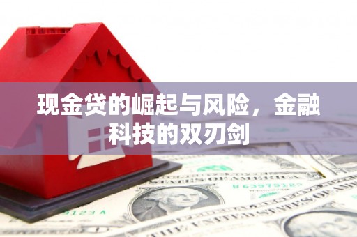永登现金贷的崛起与风险，金融科技的双刃剑
