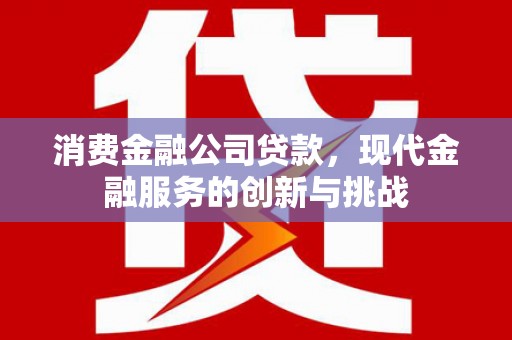 永登消费金融公司贷款，现代金融服务的创新与挑战