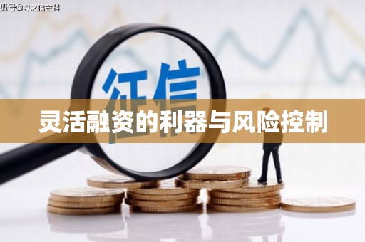 永登灵活融资的利器与风险控制